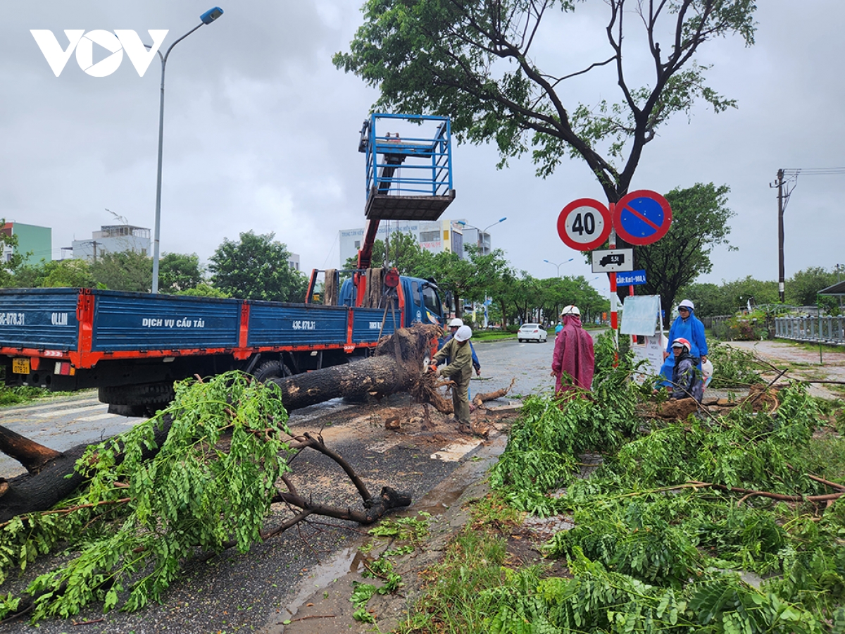 Đà Nẵng khẩn trương dọn cây gẫy đổ chủ động đối phó mưa lũ